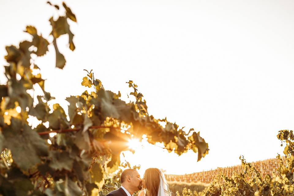 Temecula, CA Vineyard Wedding