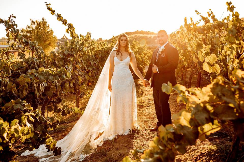 Temecula, CA Vineyard Wedding