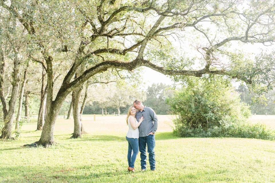 Romantic engagement - Suzanne Lytle Photography