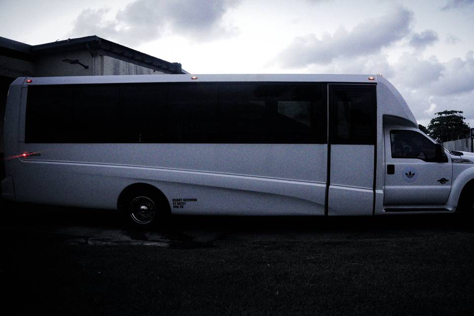 Large Minibus