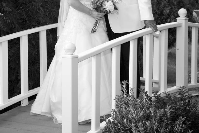 Mark Leach Photography