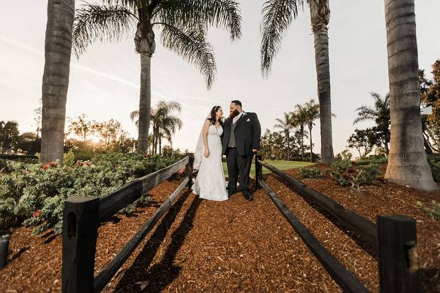 Love & Palm Trees
