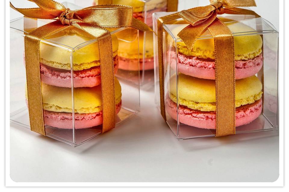 2 Macaron Favor Boxes