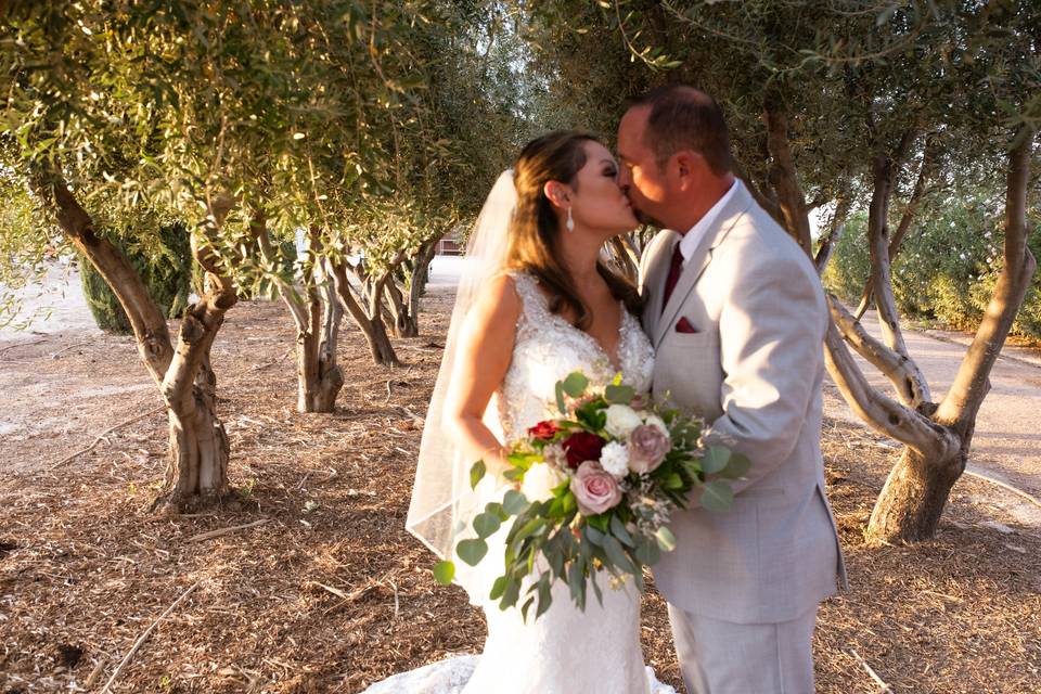 Queen Creek Olive Mill