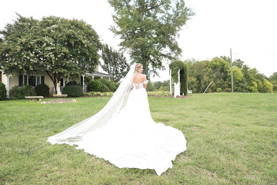 Gorgeous backdrops