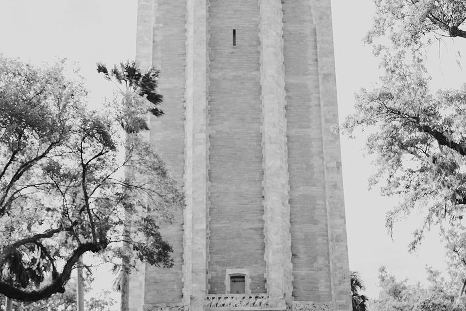 Bok Tower Gardens Engagement