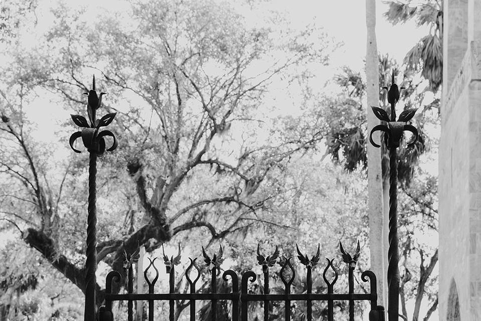 Bok Tower Gardens Engagement