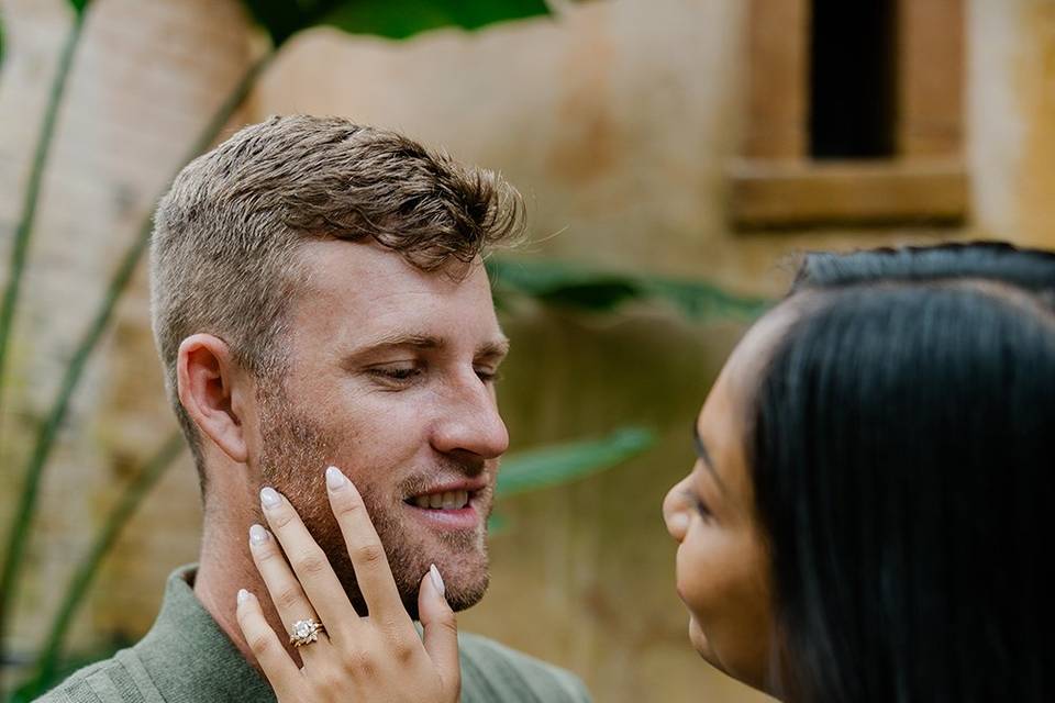 Bok Tower Gardens Engagement