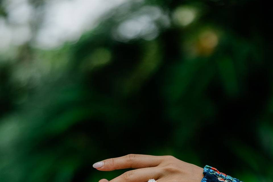 Bok Tower Gardens Engagement