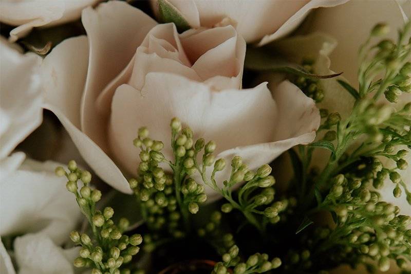 New Orleans Elopement