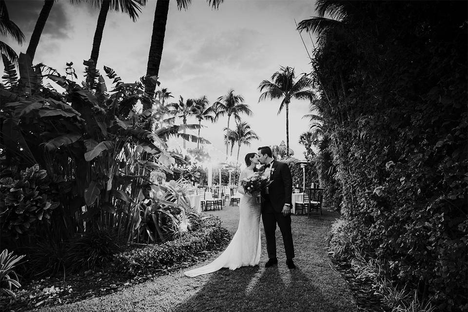 The Palms Resort & Spa Wedding