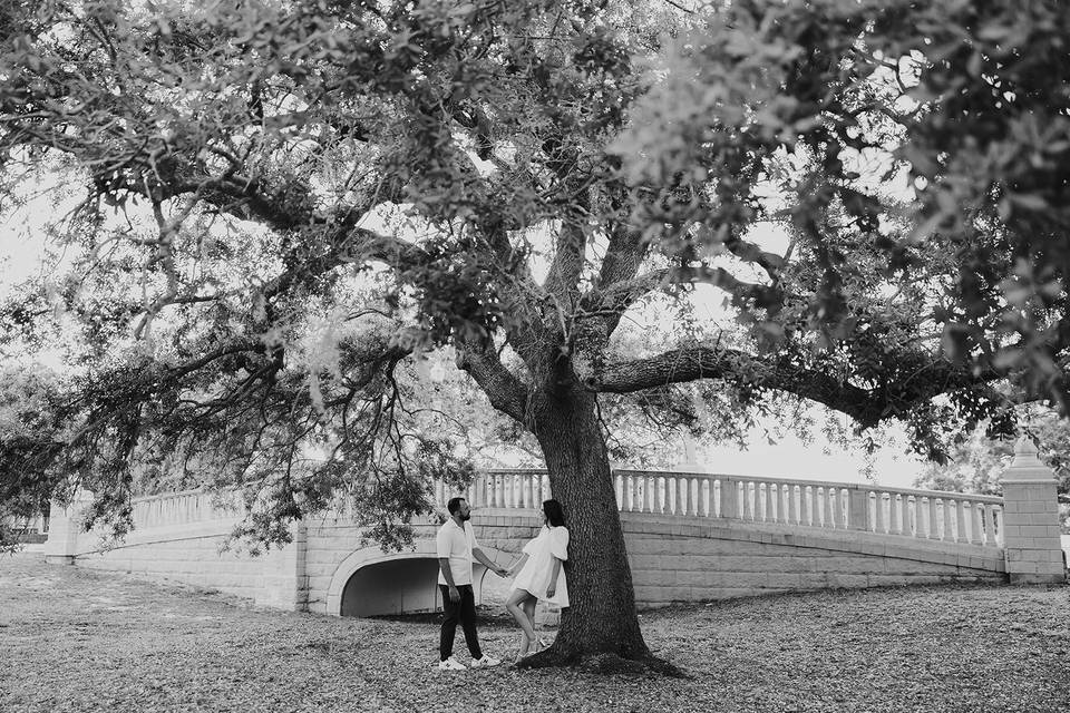 Winter Park Engagement