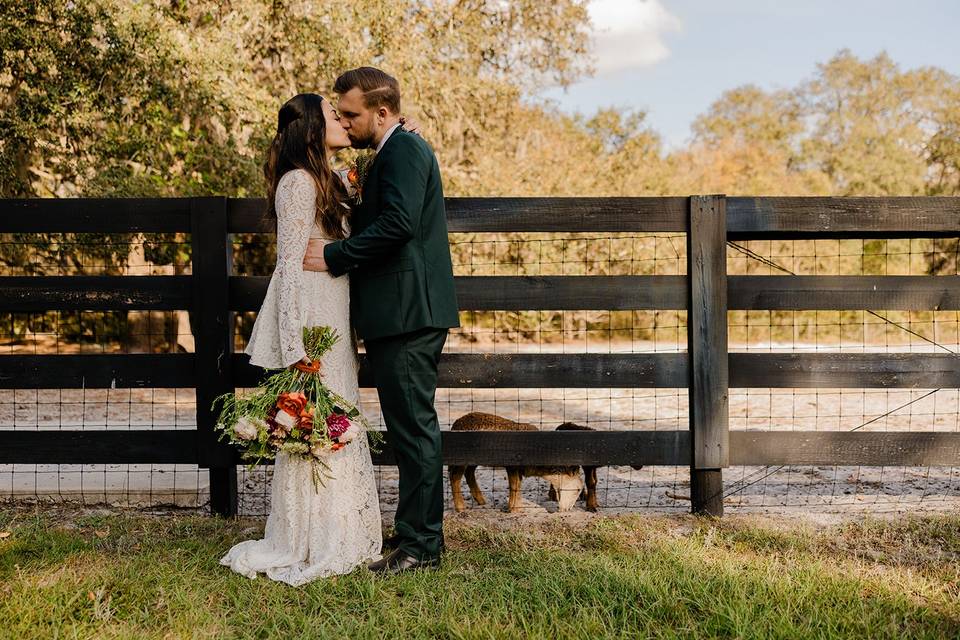 The Barn at Hidden Oaks Elope