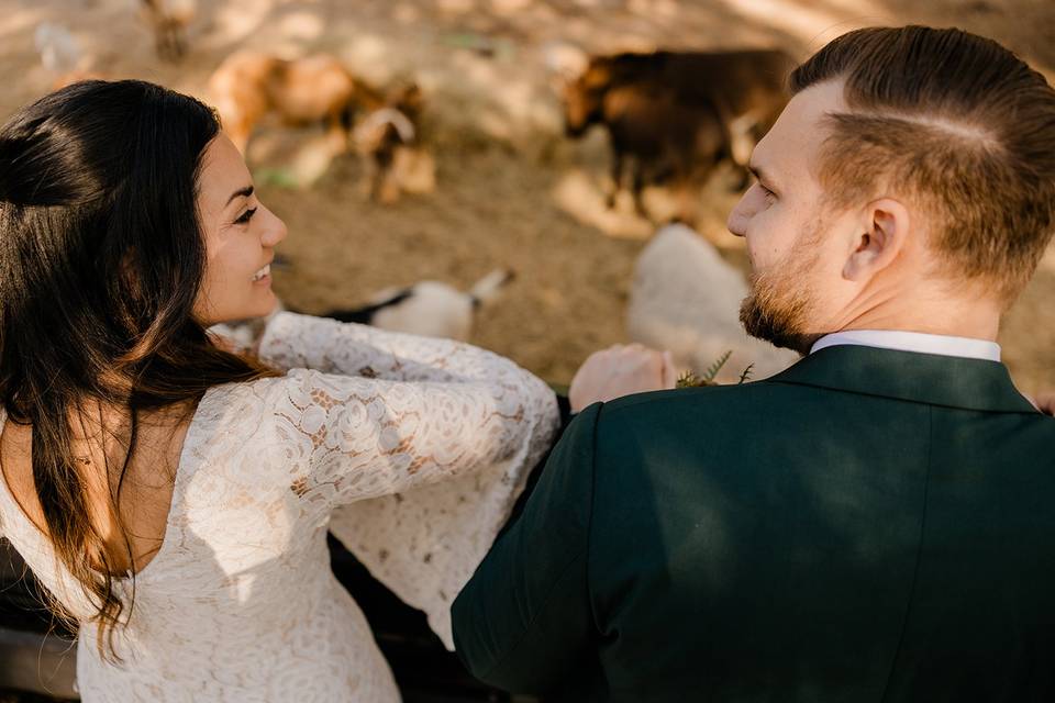 The Barn at Hidden Oaks Elope