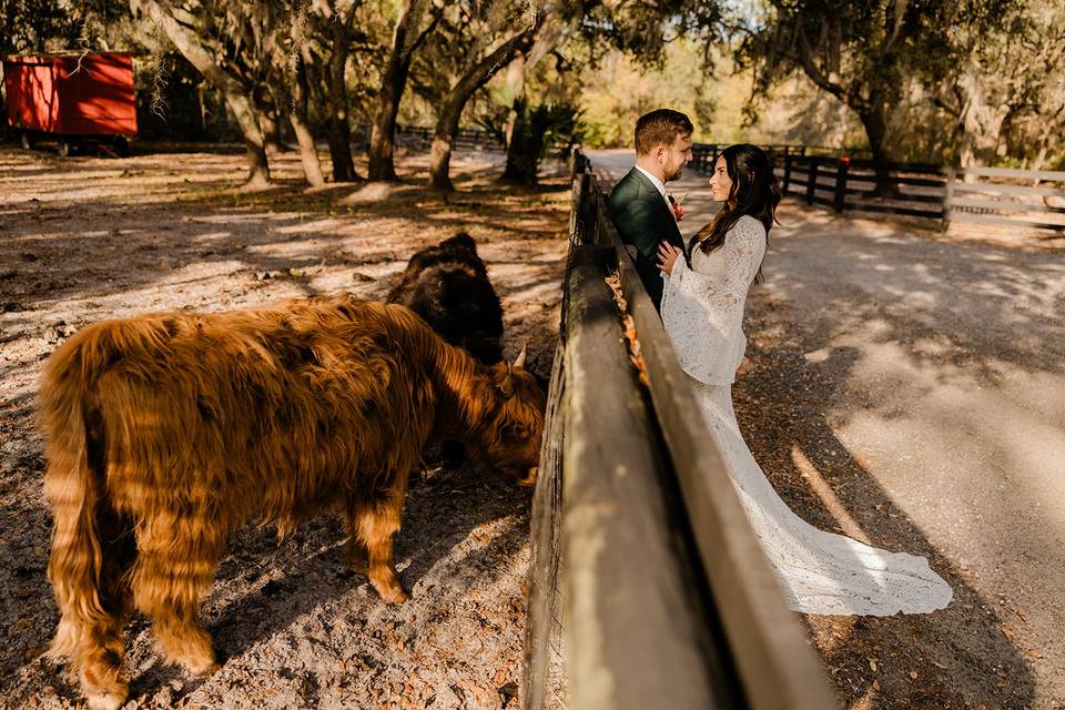 The Barn at Hidden Oaks Elope