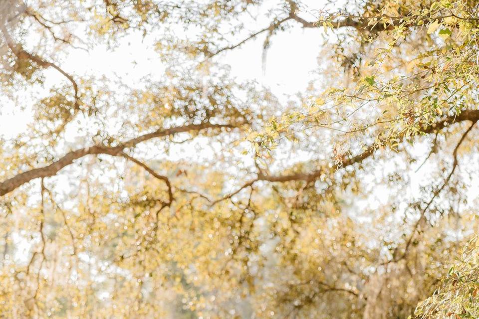 The Barn at Hidden Oaks Elope