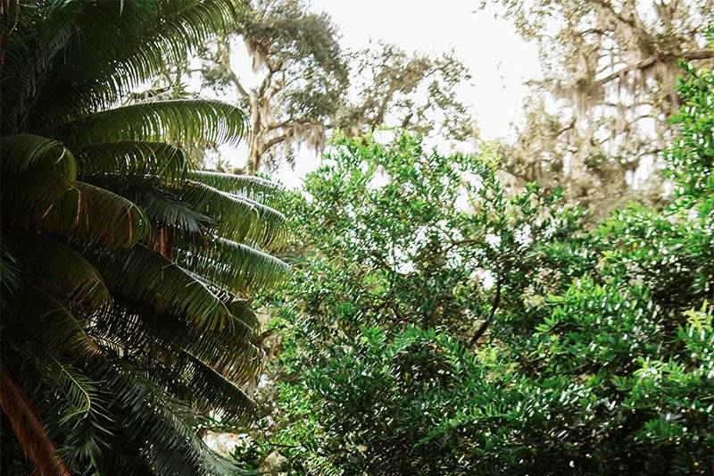 Bok Tower Gardens Wedding