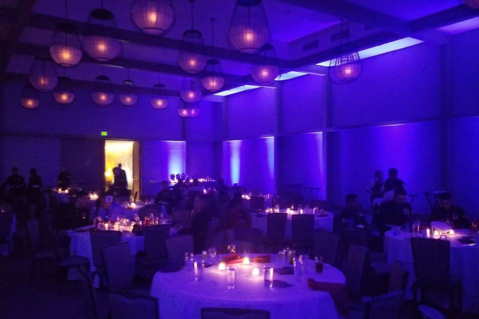 Magical dinner