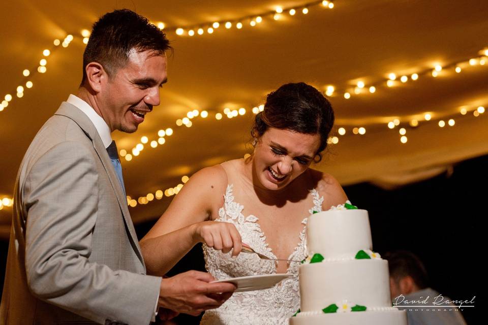 Cake cutting