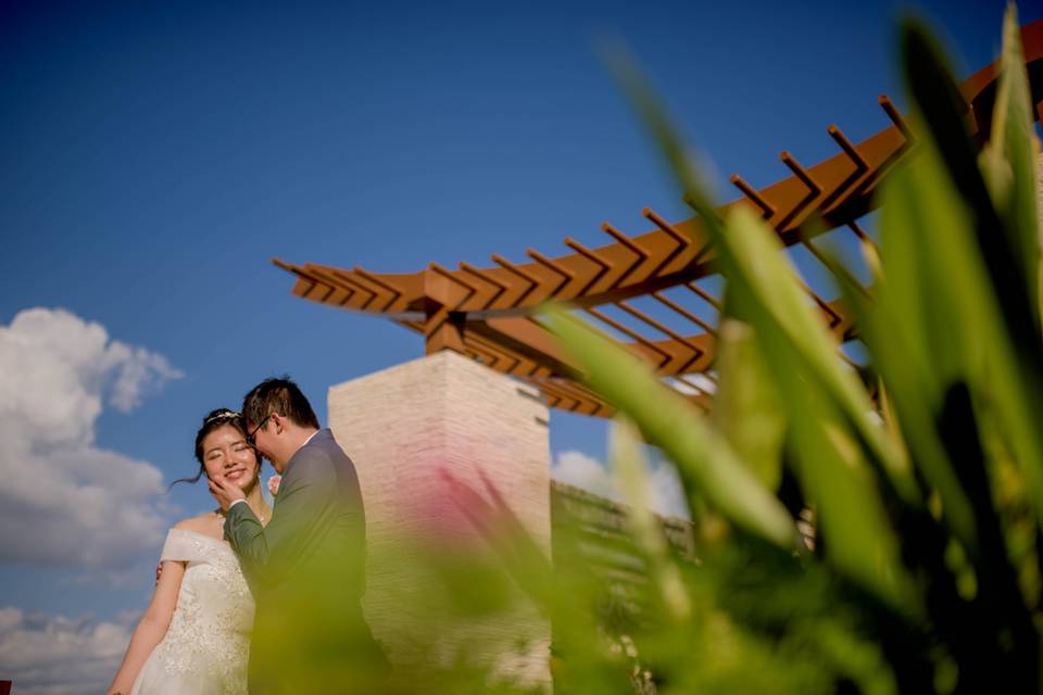 Wedding photo