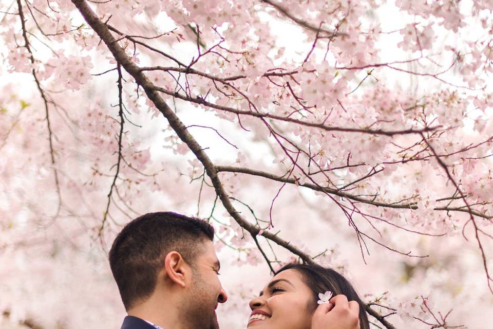 Tara + Basim | Couple's Shoot