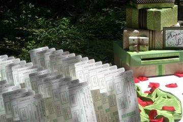 Place cards in the form of airplane seating tickets and custom made money box.