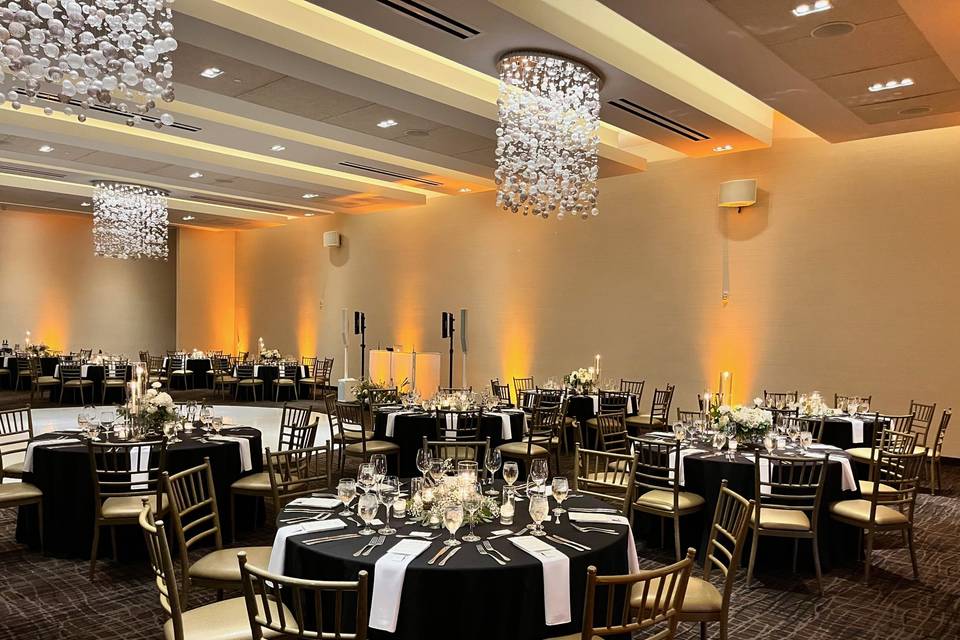 Reception sound & up lights