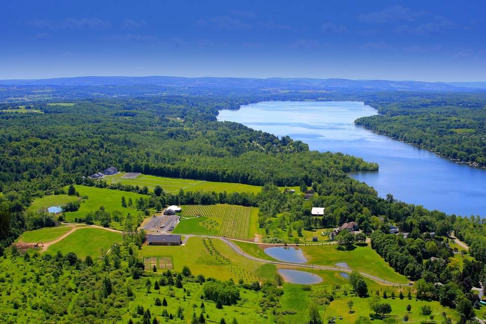 Aerial view