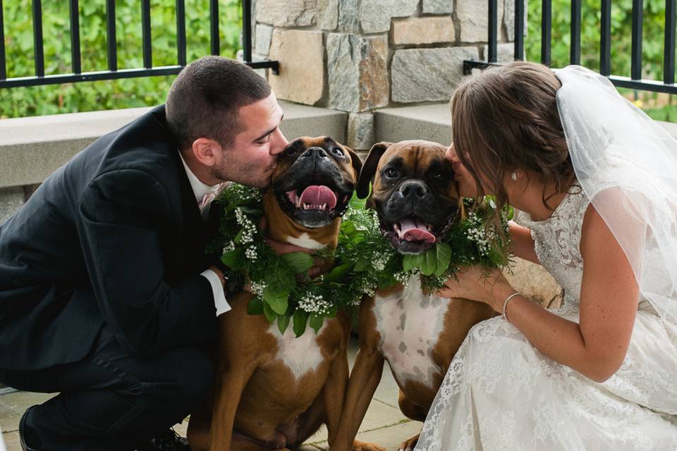 Newlyweds and their dogs