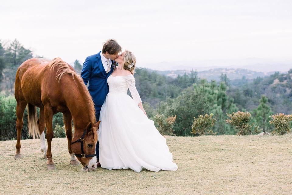 Whimsical Wedding in Julian CA