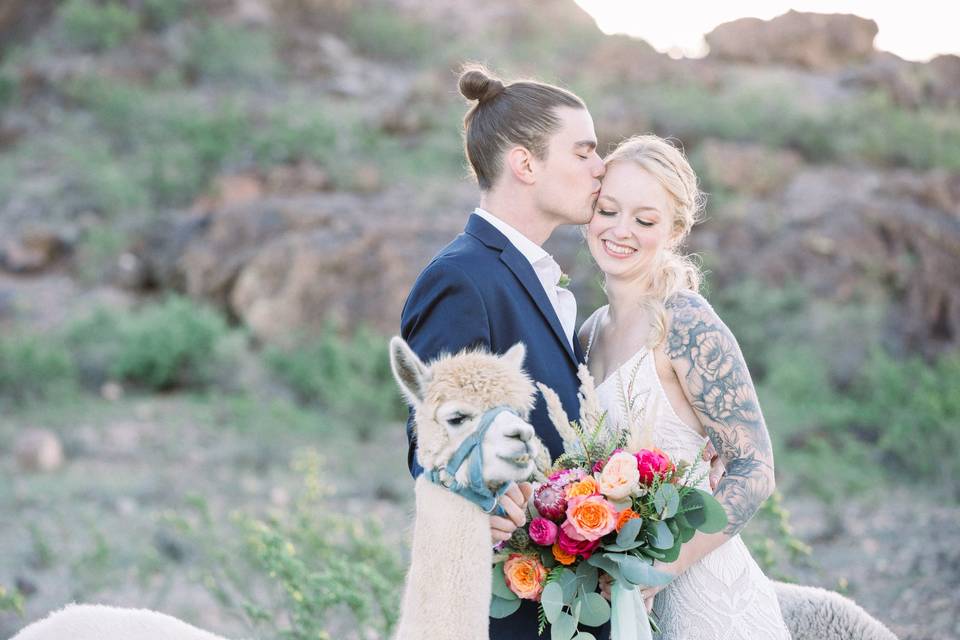 Desert Wedding in Arizona