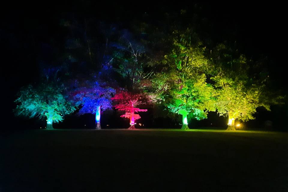 Fairway at Night