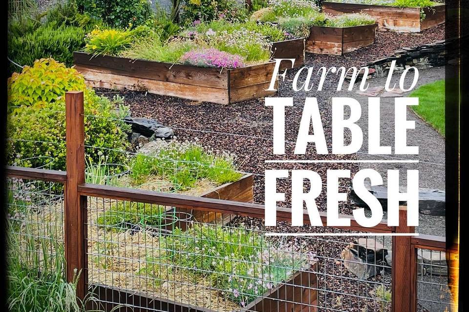 Farm to table fresh!