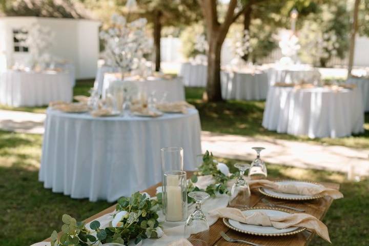 Bridal table and dinner tables