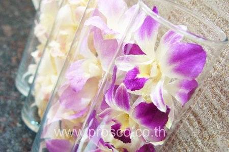 Prosco Co., Ltd.