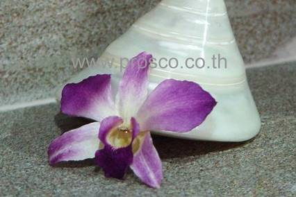Prosco Co., Ltd.