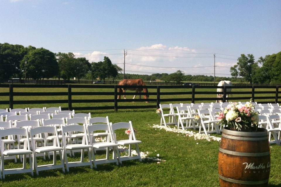 Have you seen this chandelier? Beautiful ceremony spot!