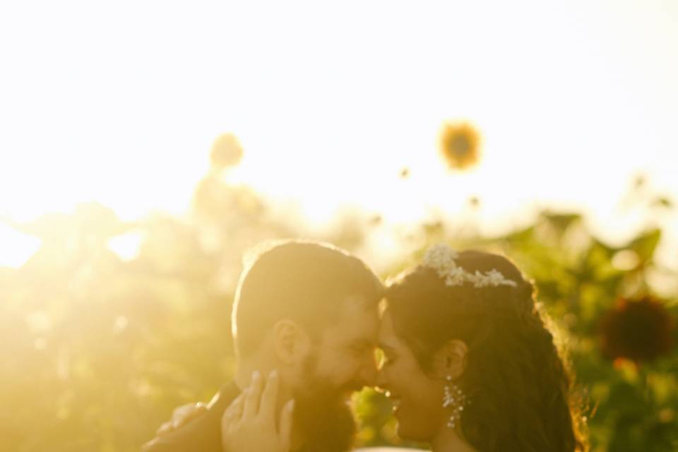 Sunflower Field Ceremony