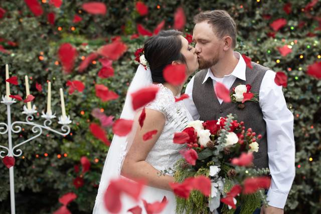 Red rose petals throwing
