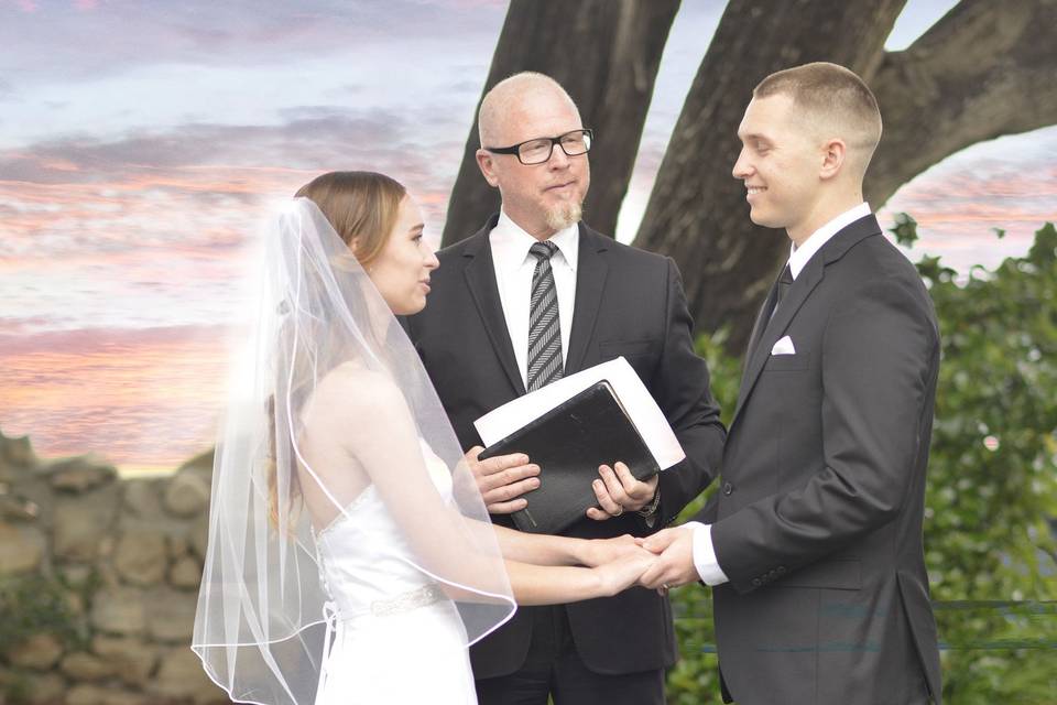 Vows books officiant