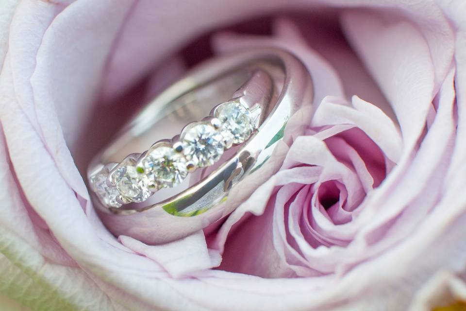 Rings in rose flower