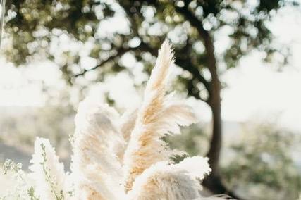 Pampas grass heaven