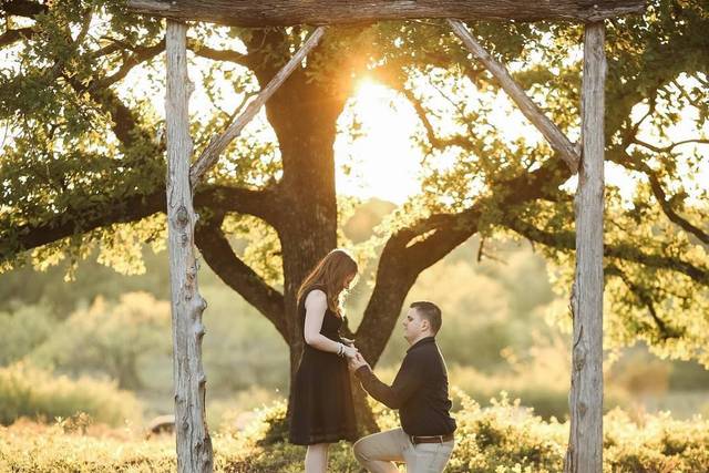Engagement photo session