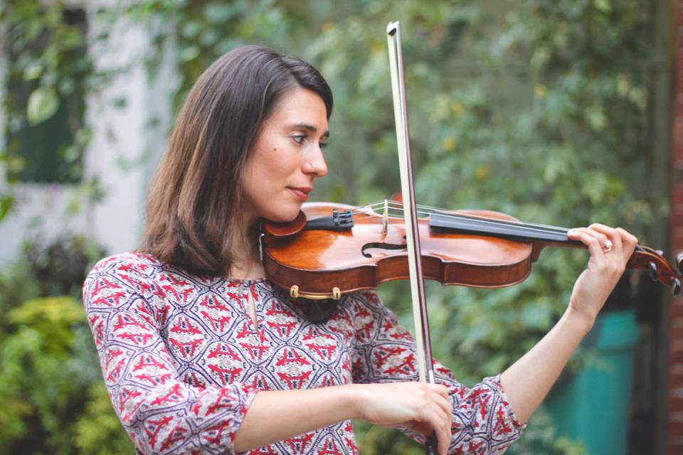 Stephanie Tedesco, Violin