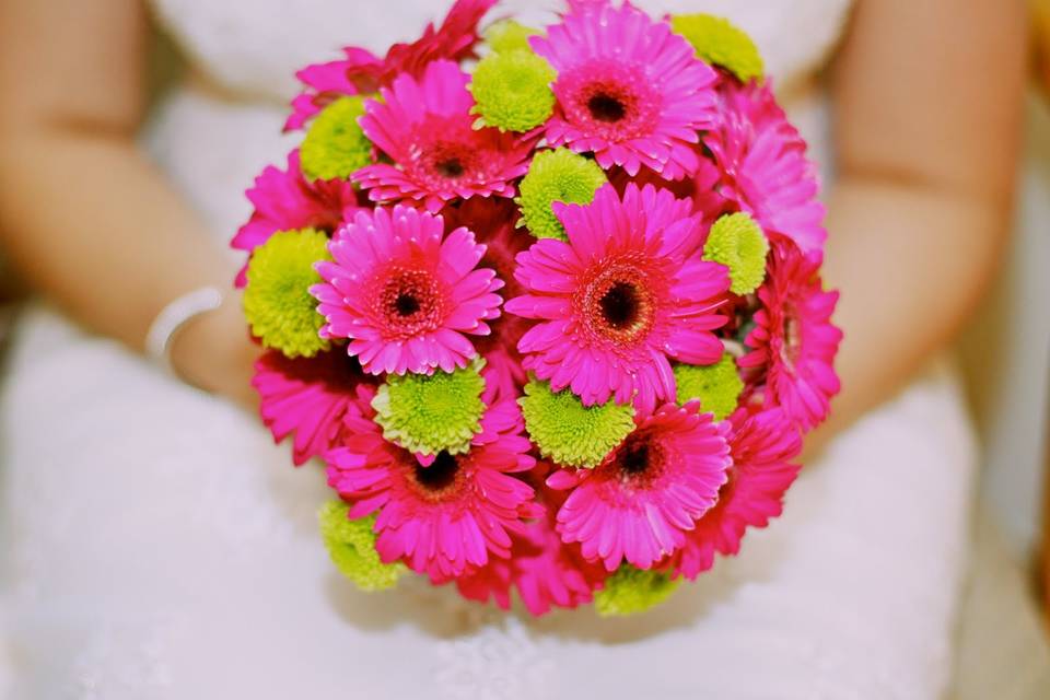 Pink daisies