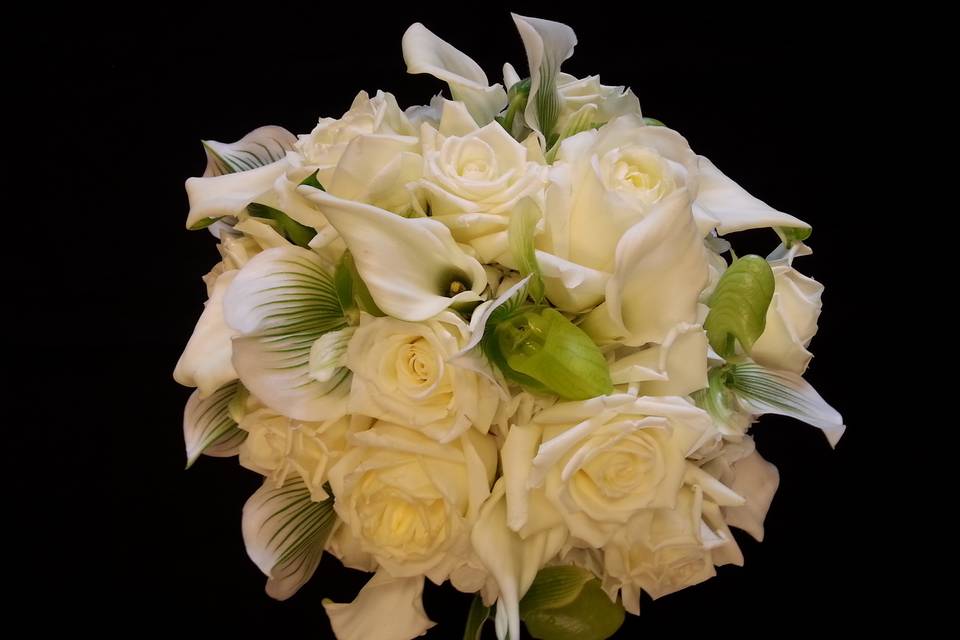 White arrangement