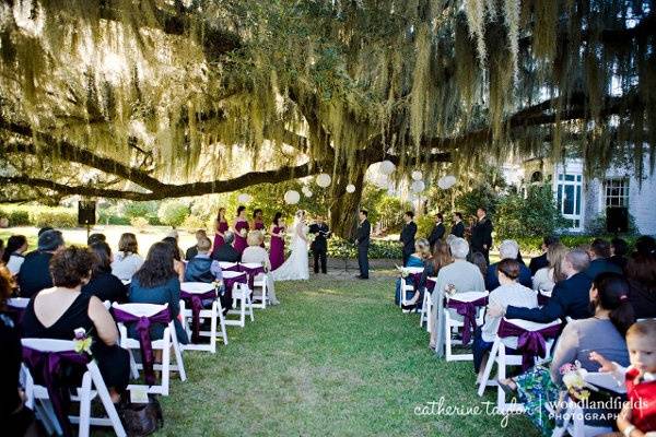 Papaya Wedding Planning