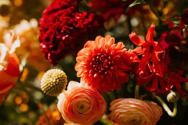 Shelley's Flowers & Gifts