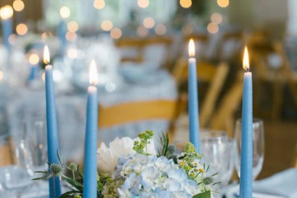 Blue & white lilac