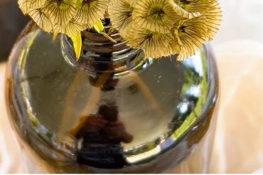 Vintage bud vases